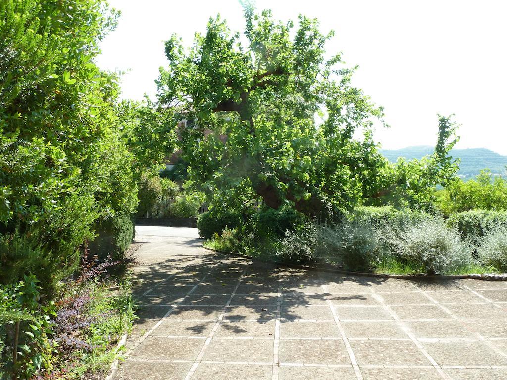 Agriturismo La Vecchia Quercia San Cipriano Picentino Δωμάτιο φωτογραφία
