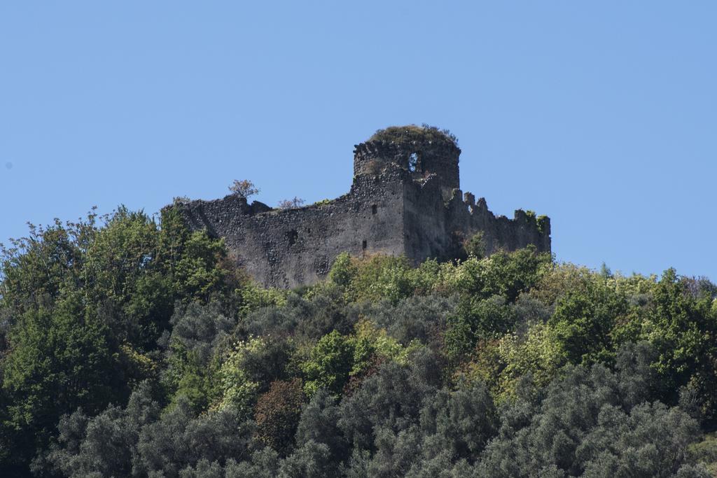 Agriturismo La Vecchia Quercia San Cipriano Picentino Εξωτερικό φωτογραφία