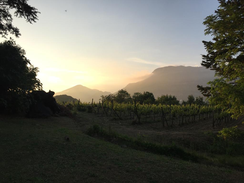 Agriturismo La Vecchia Quercia San Cipriano Picentino Εξωτερικό φωτογραφία